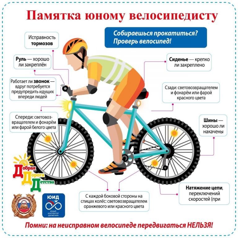 пдд.jpg